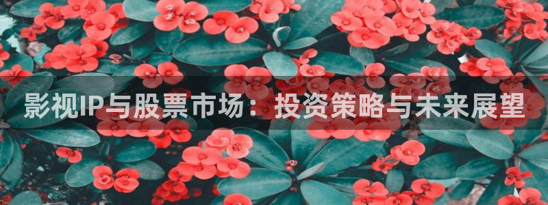 小小影院在线下载：影视IP与股票市场：投资策略与未来展望
