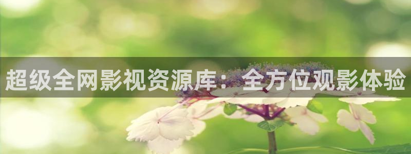 小小影院在线观看免费观看高清：超级全网影视资源库：全方位观影体验