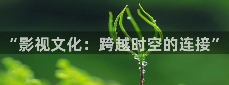 小小影视2020年最新版：“影视文化：跨越时空的连接”