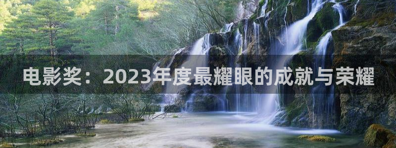 小小影城：电影奖：2023年度最耀眼的成就与荣耀