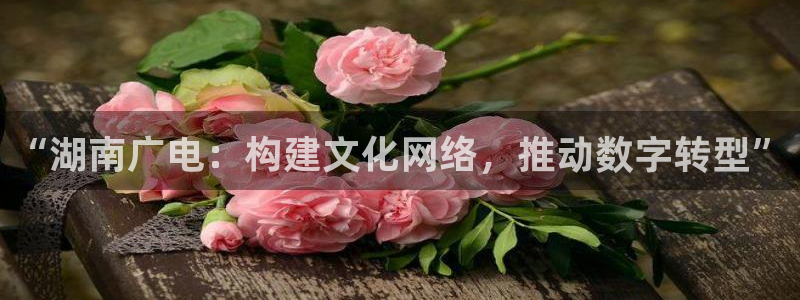 小小影院正版下载：“湖南广电：构建文化网络，推动数字转型”