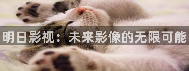 小小影视免费完整版：明日影视：未来影像的无限可能